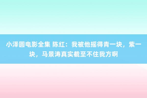 小泽圆电影全集 陈红：我被他摇得青一块，紫一块，马景涛真实截至不住我方啊