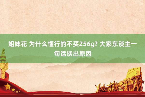 姐妹花 为什么懂行的不买256g? 大家东谈主一句话谈出原因