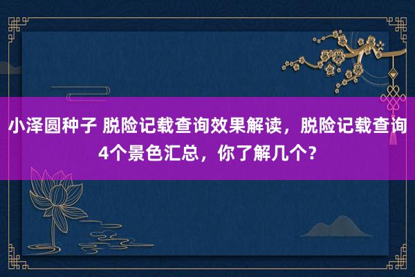 小泽圆种子 脱险记载查询效果解读，脱险记载查询4个景色汇总，你了解几个？