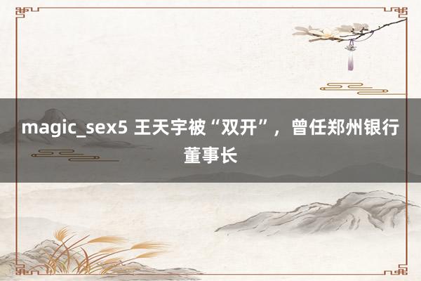 magic_sex5 王天宇被“双开”，曾任郑州银行董事长