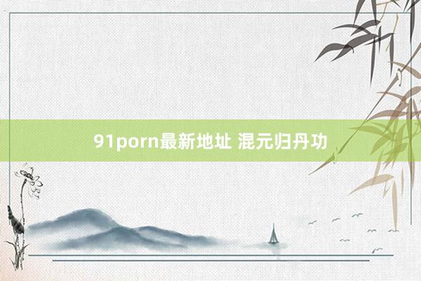 91porn最新地址 混元归丹功