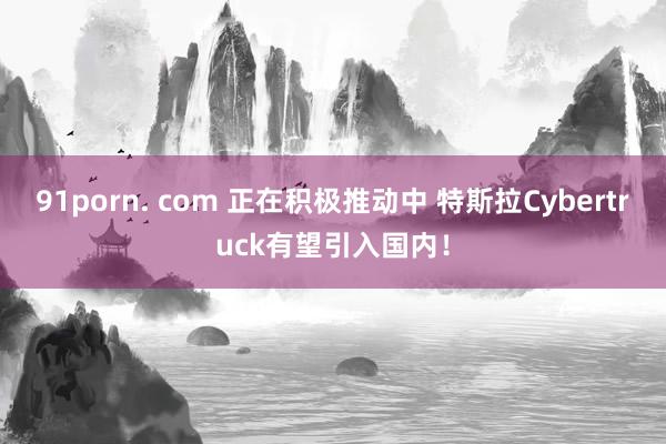 91porn. com 正在积极推动中 特斯拉Cybertruck有望引入国内！