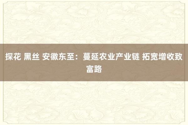 探花 黑丝 安徽东至：蔓延农业产业链 拓宽增收致富路