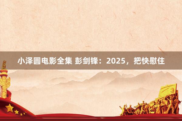 小泽圆电影全集 彭剑锋：2025，把快慰住