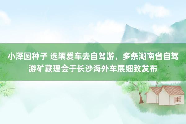 小泽圆种子 选辆爱车去自驾游，多条湖南省自驾游矿藏理会于长沙海外车展细致发布