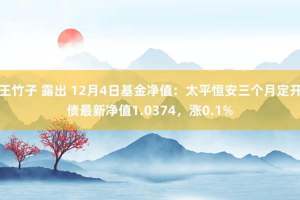 王竹子 露出 12月4日基金净值：太平恒安三个月定开债最新净值1.0374，涨0.1%