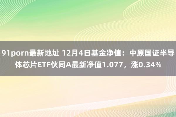 91porn最新地址 12月4日基金净值：中原国证半导体芯片ETF伙同A最新净值1.077，涨0.34%