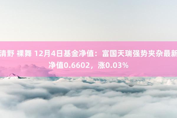 清野 裸舞 12月4日基金净值：富国天瑞强势夹杂最新净值0.6602，涨0.03%