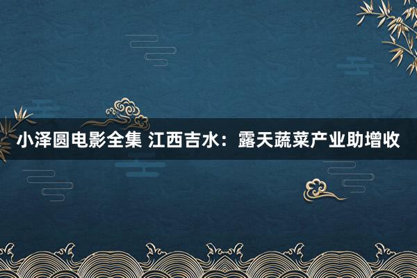 小泽圆电影全集 江西吉水：露天蔬菜产业助增收