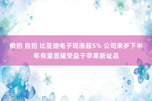 偷拍 自拍 比亚迪电子现涨超5% 公司来岁下半年有望显耀受益于苹果新址品