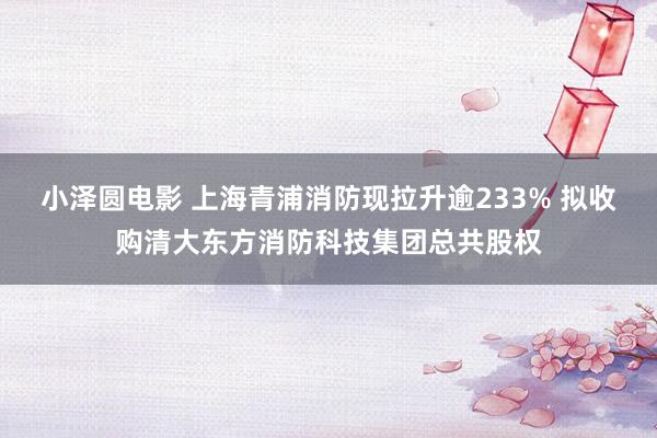 小泽圆电影 上海青浦消防现拉升逾233% 拟收购清大东方消防科技集团总共股权