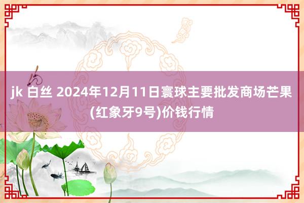 jk 白丝 2024年12月11日寰球主要批发商场芒果(红象牙9号)价钱行情