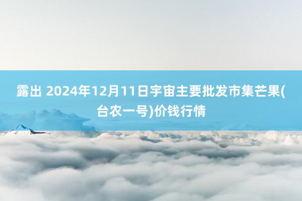 露出 2024年12月11日宇宙主要批发市集芒果(台农一号)价钱行情