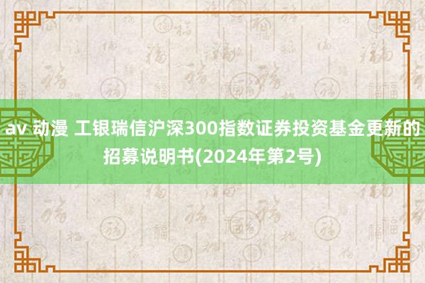 av 动漫 工银瑞信沪深300指数证券投资基金更新的招募说明书(2024年第2号)