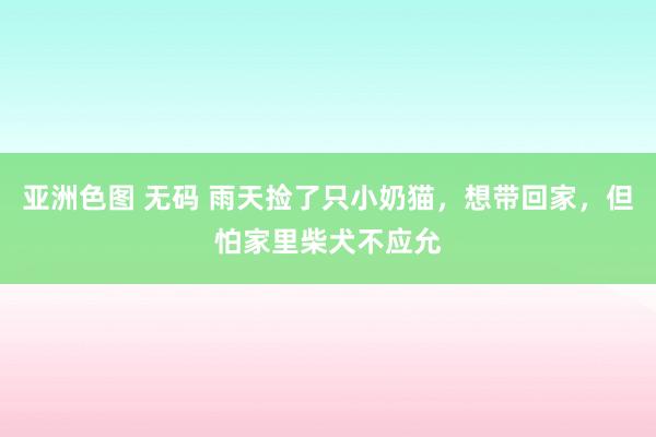 亚洲色图 无码 雨天捡了只小奶猫，想带回家，但怕家里柴犬不应允