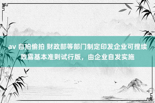 av 自拍偷拍 财政部等部门制定印发企业可捏续败露基本准则试行版，由企业自发实施