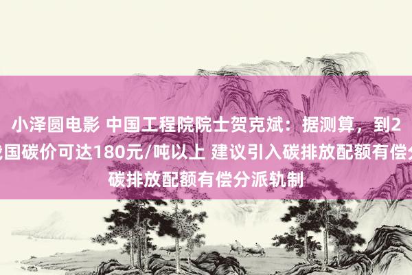 小泽圆电影 中国工程院院士贺克斌：据测算，到2030年我国碳价可达180元/吨以上 建议引入碳排放配