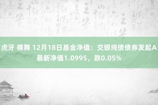 虎牙 裸舞 12月18日基金净值：交银纯债债券发起A最新净值1.0995，跌0.05%