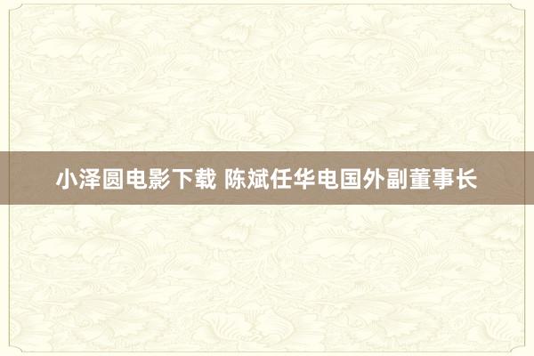 小泽圆电影下载 陈斌任华电国外副董事长