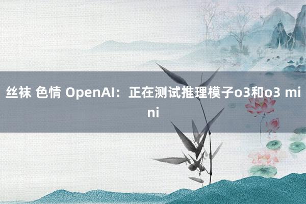 丝袜 色情 OpenAI：正在测试推理模子o3和o3 mini