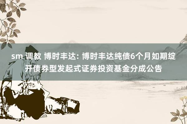 sm 调教 博时丰达: 博时丰达纯债6个月如期绽开债券型发起式证券投资基金分成公告