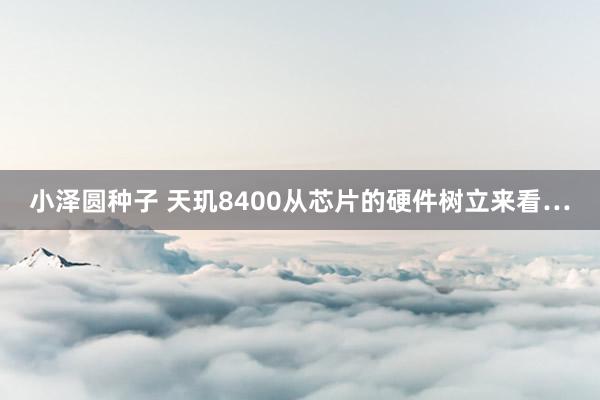 小泽圆种子 天玑8400从芯片的硬件树立来看…