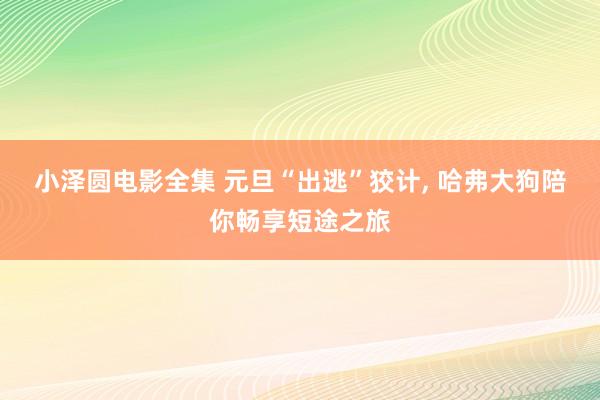 小泽圆电影全集 元旦“出逃”狡计, 哈弗大狗陪你畅享短途之旅