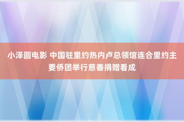 小泽圆电影 中国驻里约热内卢总领馆连合里约主要侨团举行慈善捐赠看成