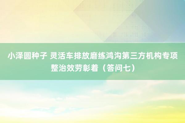 小泽圆种子 灵活车排放磨练鸿沟第三方机构专项整治效劳彰着（答问七）