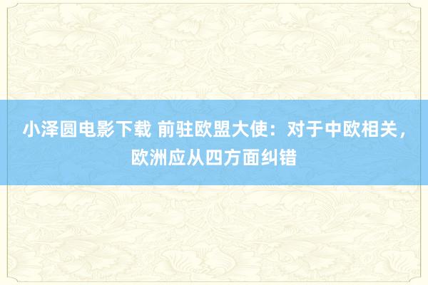 小泽圆电影下载 前驻欧盟大使：对于中欧相关，欧洲应从四方面纠错