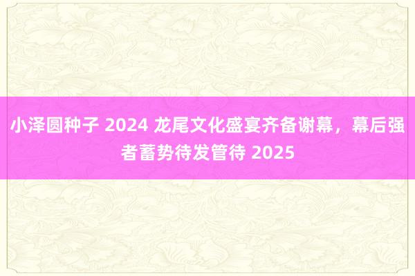 小泽圆种子 2024 龙尾文化盛宴齐备谢幕，幕后强者蓄势待发管待 2025