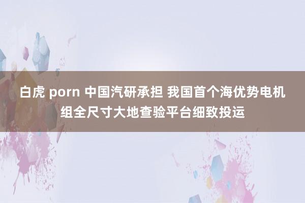 白虎 porn 中国汽研承担 我国首个海优势电机组全尺寸大地查验平台细致投运