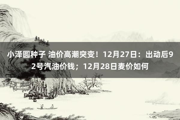 小泽圆种子 油价高潮突变！12月27日：出动后92号汽油价钱；12月28日麦价如何