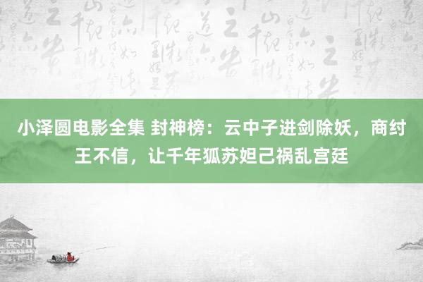 小泽圆电影全集 封神榜：云中子进剑除妖，商纣王不信，让千年狐苏妲己祸乱宫廷