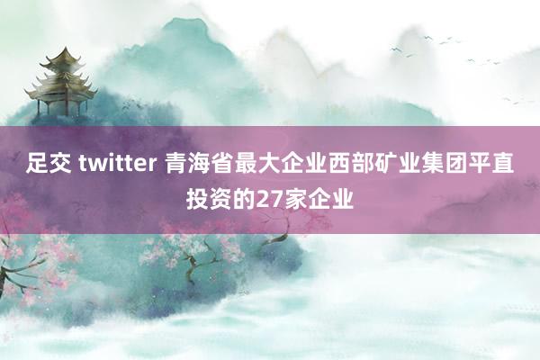 足交 twitter 青海省最大企业西部矿业集团平直投资的27家企业