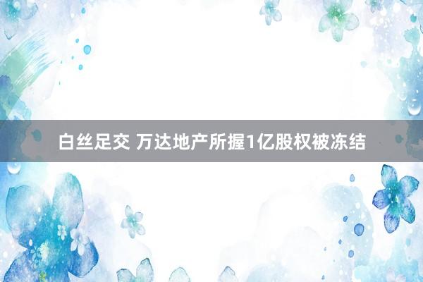 白丝足交 万达地产所握1亿股权被冻结