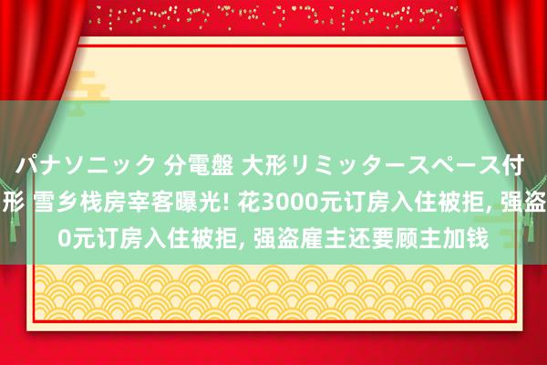 パナソニック 分電盤 大形リミッタースペース付 露出・半埋込両用形 雪乡栈房宰客曝光! 花3000元