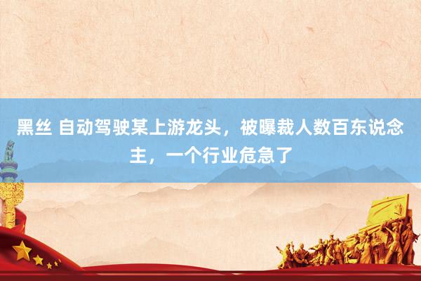 黑丝 自动驾驶某上游龙头，被曝裁人数百东说念主，一个行业危急了