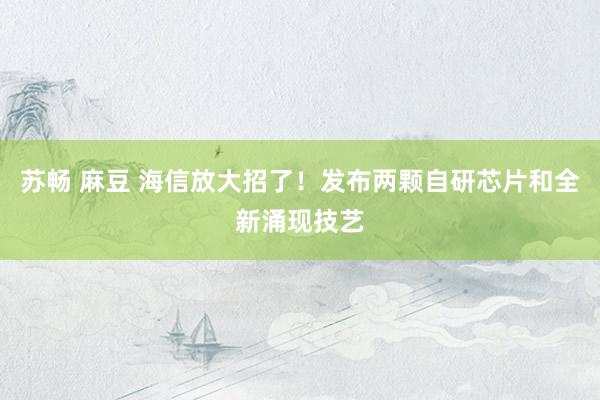 苏畅 麻豆 海信放大招了！发布两颗自研芯片和全新涌现技艺