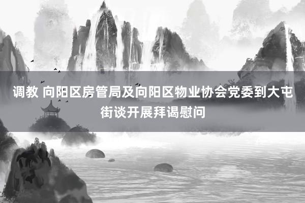 调教 向阳区房管局及向阳区物业协会党委到大屯街谈开展拜谒慰问