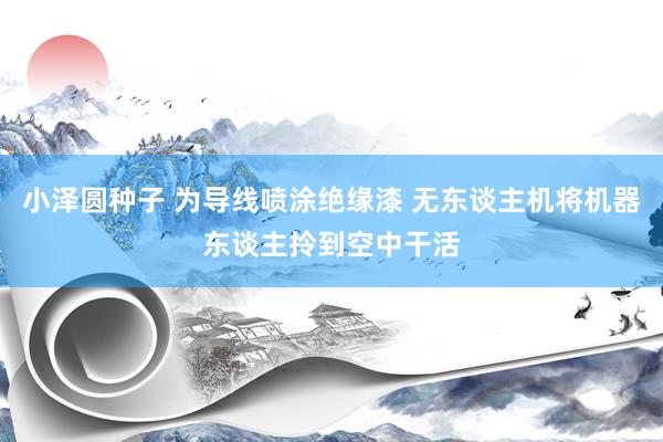 小泽圆种子 为导线喷涂绝缘漆 无东谈主机将机器东谈主拎到空中干活